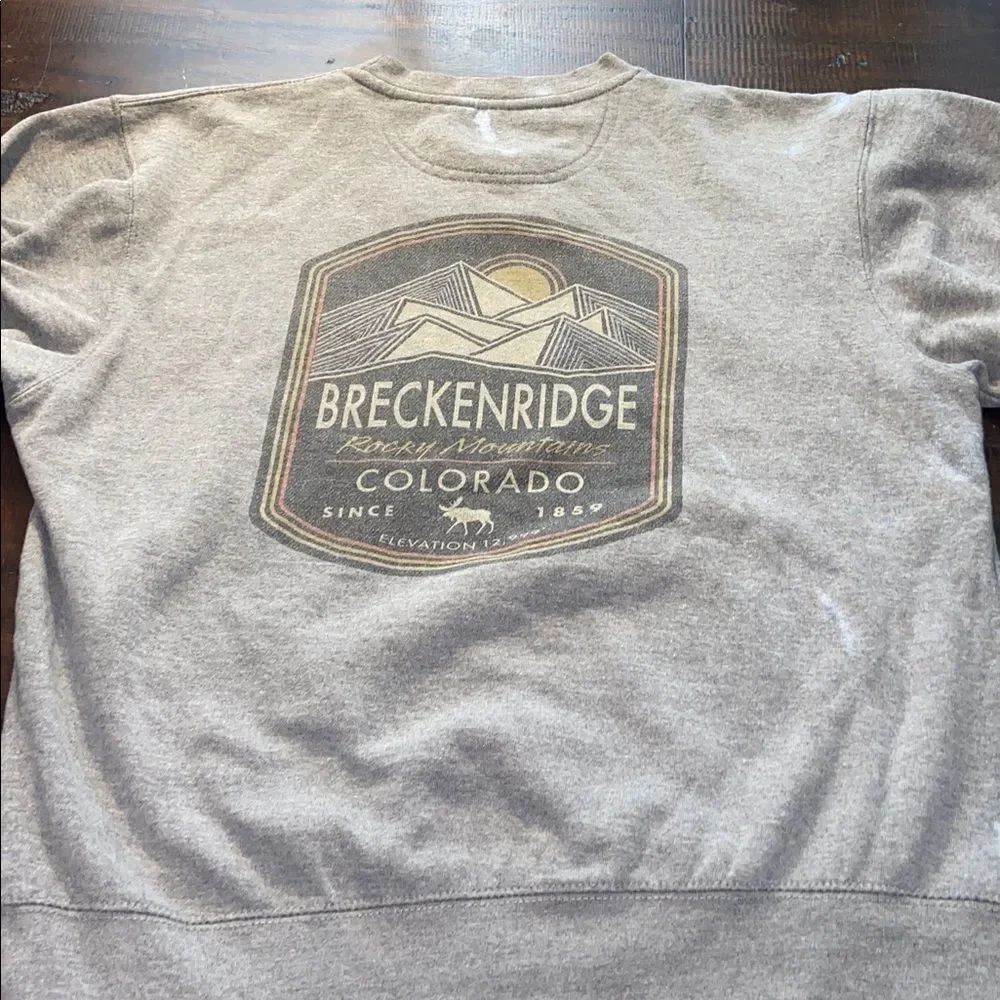 Breckenridge Light Gray Crewneck Sweater small blue 84